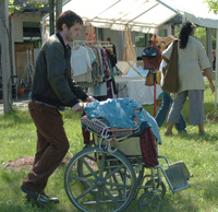 Beagle & Wheelchair